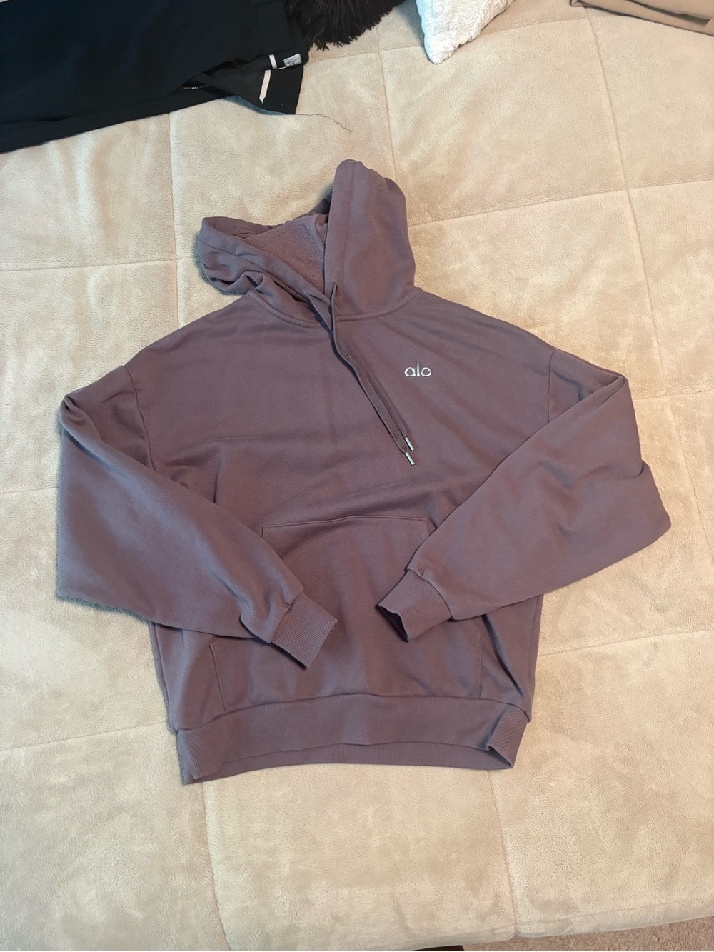 Alo Hoodie Sweatshirt - Dusty Mauve